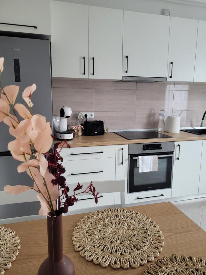 Apartamento Amparo Satu Mare Exterior foto
