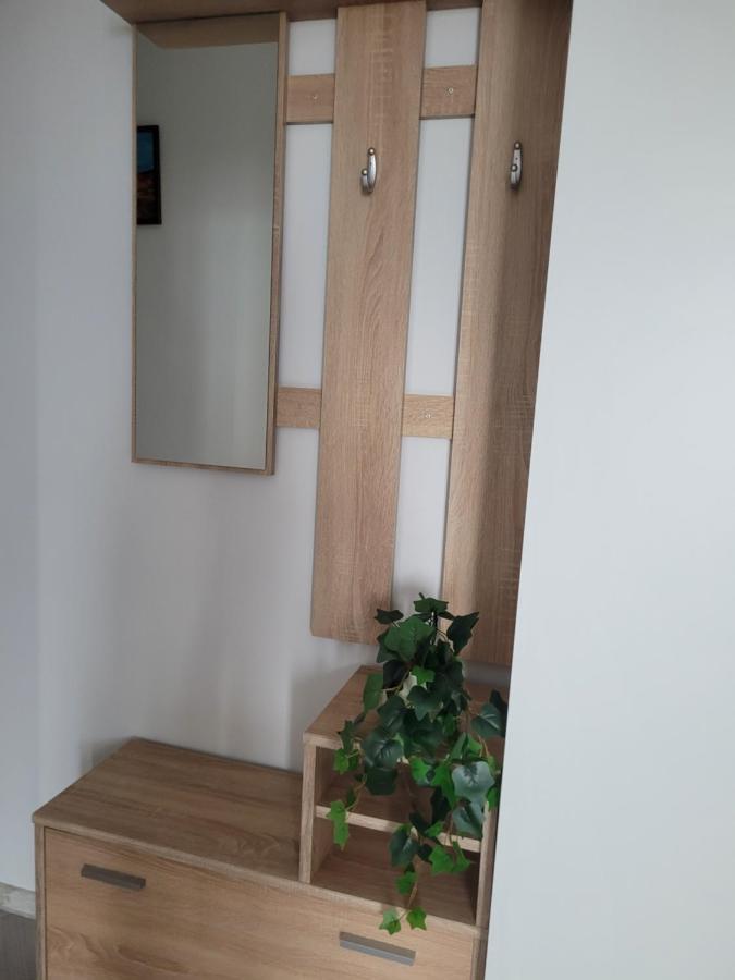 Apartamento Amparo Satu Mare Exterior foto